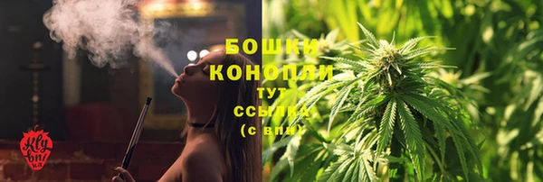 стаф Мурманск