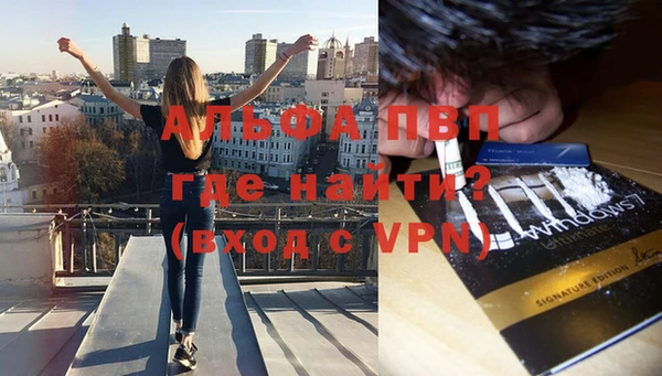 прущие крисы Архангельск
