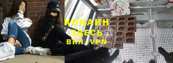 стаф Мурманск