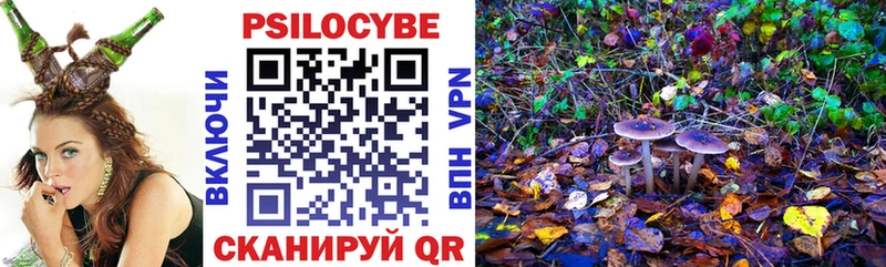 Галлюциногенные грибы MAGIC MUSHROOMS  Купить  Медногорск 